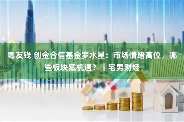 粤友钱 创金合信基金罗水星：市场情绪高位，哪些板块藏机遇？｜宅男财经