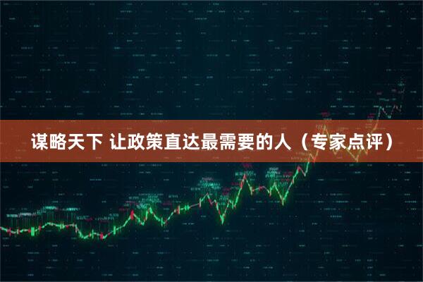 谋略天下 让政策直达最需要的人（专家点评）