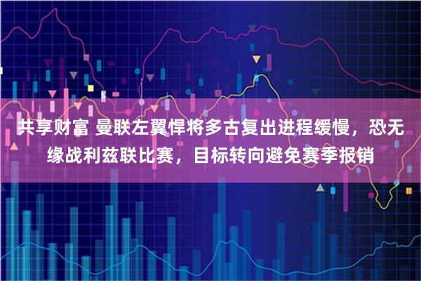共享财富 曼联左翼悍将多古复出进程缓慢，恐无缘战利兹联比赛，目标转向避免赛季报销