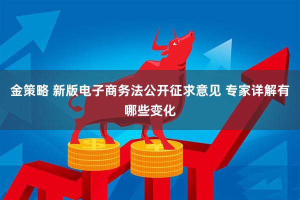 金策略 新版电子商务法公开征求意见 专家详解有哪些变化