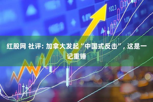 红股网 社评: 加拿大发起“中国式反击”, 这是一记重锤